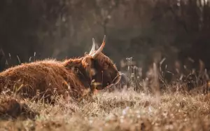 Jak Zjistit Trvalé Bydliště Osoby